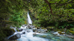 Waterfall cascading into a turquoise stream surrounded by lush green forest and moss-covered rocks.