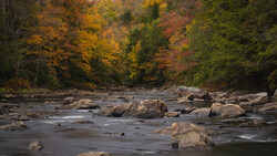 Rocky river with autumn foliage reflected in calm water and forest backdrop.