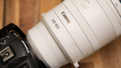 White Canon 70-300mm telephoto lens mounted on a Canon DSLR camera body.