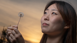 Woman holding a dandelion seedhead against a golden sunset sky.