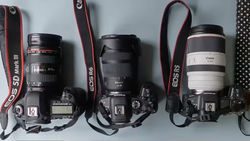 Three Canon EOS DSLR cameras with different lenses mounted, displayed side by side with red straps against a white background.
