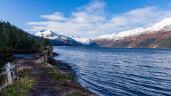 Snow-capped mountains across a deep blue lake with forested shoreline and driftwood in foreground.