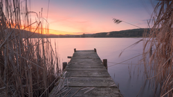 Wooden dock extending into a calm lake at sunrise, framed by dried reeds on both sides.