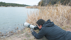 Wildlife photographer crouched among reeds, aiming a telephoto lens toward waterfowl on a lake.