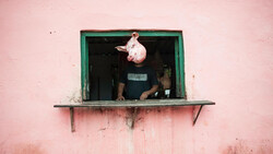 Person leaning out of a window with green frame on a weathered pink wall.