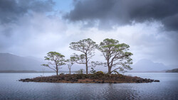 Small forested island with tall pine trees surrounded by calm water under stormy sky.