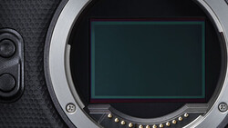 Camera sensor and mirror box interior with visible dust and contact pins.
