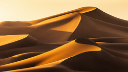 Desert sand dunes with dramatic golden and shadow contrast at sunrise or sunset.