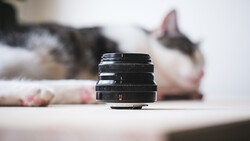 Vintage camera lens in sharp focus on white surface with blurred tabby cat in background.
