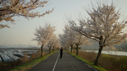 Person jogging down a tree-lined rural road in soft morning light, with water and fields visible on either side.