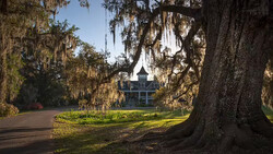 Victorian mansion framed by massive live oak trees draped in Spanish moss along a tree-lined avenue.