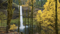 Waterfall cascading into a misty pool surrounded by moss-covered trees and golden autumn foliage.