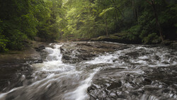 Turbulent forest stream flowing over dark rocks with misty white water and dense green canopy overhead.