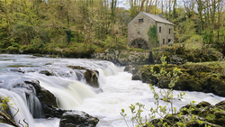 Fast-flowing river with cascading rapids in front of an old stone mill building surrounded by dense woodland.