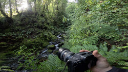 Photographer holding a telephoto lens aimed at a forest stream surrounded by dense green vegetation.