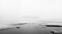 Minimalist black and white landscape with a lone boat on still water surrounded by driftwood logs in mist.