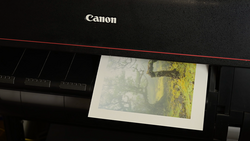 Canon printer with a landscape photograph of misty trees and yellow-green foliage printing on white paper.
