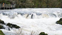 Turbulent whitewater rapids cascade over rocky terrain with moss-covered boulders in the foreground and an observation platform visible upstream left.