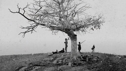 Bare tree on hillside with several figures standing beneath its gnarled branches in black and white.