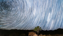 Star trails spiral around the celestial pole above a solitary illuminated tree and dark hills.