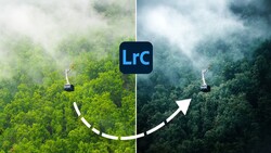 Side-by-side comparison showing aerial forest views with the Lrc logo between them, connected by a curved adjustment arrow.