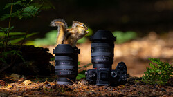 Squirrel perched on camera equipment and lenses arranged on forest ground.