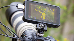 External monitor mounted on camera showing live video feed with yellow flowers in frame.