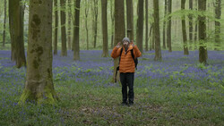 Hiker in orange jacket jogging through forest floor carpeted with purple wildflowers.