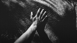 A pale hand reaching toward a textured dark surface in close-up black and white photography.