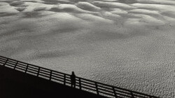 Shadow of a wooden fence cast across rippled sand dunes in strong sunlight.