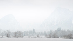 Snow-covered meadow with bare and coniferous trees beneath fog-shrouded mountains.