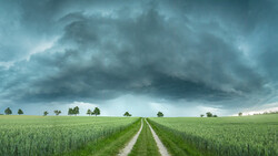 Straight dirt road through green grain fields under dramatic dark storm clouds.