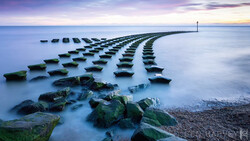 Rows of wooden posts extending into calm blue water at sunset, creating geometric leading lines toward the horizon.