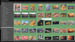 Screenshot of photo management software displaying a grid of landscape and nature photographs with colorful autumn foliage and mountain scenery.