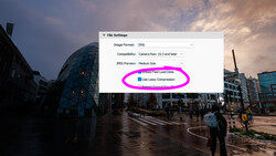Screenshot of file settings dialog with DNG format and lossy compression options highlighted in magenta.