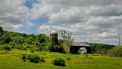 Rural landscape with wooden silo and barn structures nestled among dense green trees and fields.