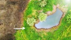 Aerial view of a small pond surrounded by vibrant green moss and vegetation in a natural landscape.