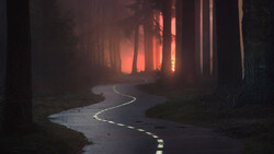 Winding wet road through dark forest at sunset with warm orange glow in distance.