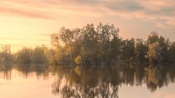 Serene river landscape with birch trees reflected in still water at golden hour.