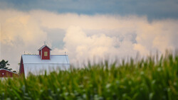 Red barn with metal silo against cornfield under dramatic cloudy sky.