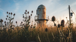 Abandoned water tower surrounded by dried thistles and wild plants in an overgrown field.