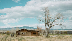 Weathered log cabin in open grassland with bare cottonwood tree and mountain range under partly cloudy sky.