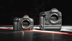 Canon R5 and R6 mirrorless cameras displayed body-to-body against black background with red and white line accent.