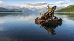 Weathered driftwood log protruding from calm alpine lake with snow-capped mountains in the background.