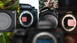 Four camera bodies displayed showing their sensor mounts: Sony Alpha, Fujifilm S, Nikon, and Canon models.