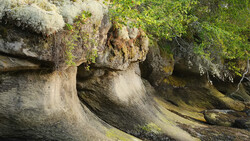 Weathered rock formation with curved striations covered in moss and lichen, casting dramatic shadows.