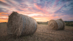 Two large round hay bales in a harvested field under a dramatic sunset sky with pink and orange clouds.