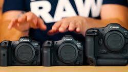 Three Canon EOS camera bodies arranged by size on a wooden table, with a person's hands visible above wearing a dark RAW branded shirt.