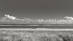Offshore wind turbines line the horizon beyond a coastal marsh with tall grasses in the foreground.