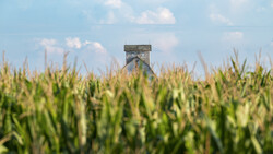 Wooden grain elevator rising above a mature cornfield under partly cloudy sky.